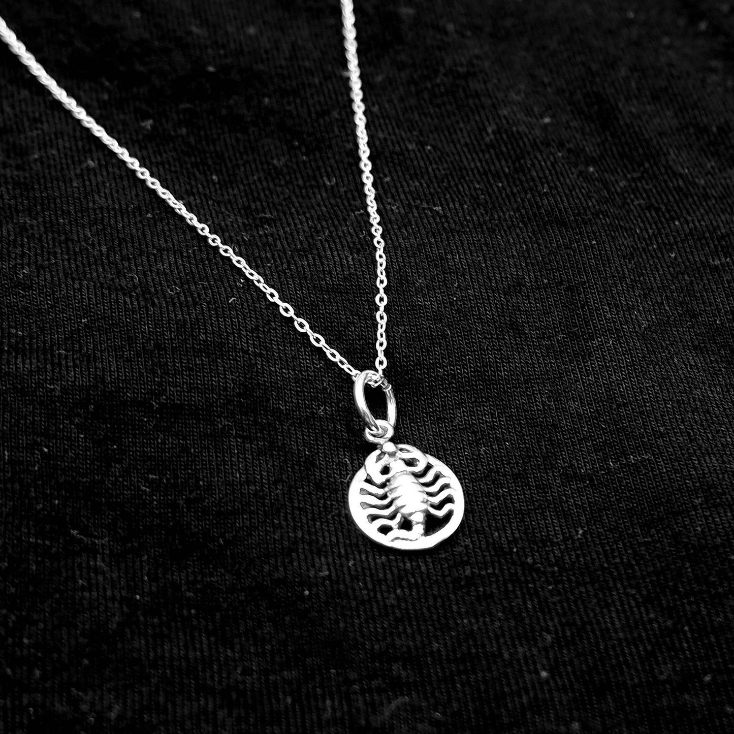 925 Sterling Silver Charm Necklace, Scorpion Necklace, Scorpion Jewelry, Gothic Animal Pendant Necklace, Wiccan Goth Scorpion Necklace - Aster & Trinkets