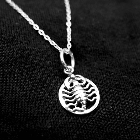 925 Sterling Silver Charm Necklace, Scorpion Necklace, Scorpion Jewelry, Gothic Animal Pendant Necklace, Wiccan Goth Scorpion Necklace - Aster & Trinkets